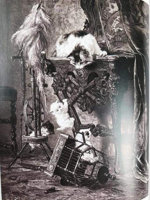 金屋藏猫记：书籍插图中的猫 100幅可爱猫咪插图 精装大32开 商品图13