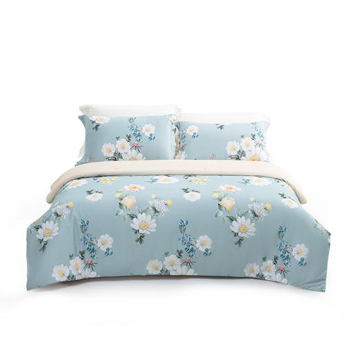 水星家纺春野花漫40s全棉抗菌床单四件套（被套200*230cm、床单230*250cm、枕套48*74cm*2）【分仓直发，72小时发货，周末节假日不发货】 商品图0