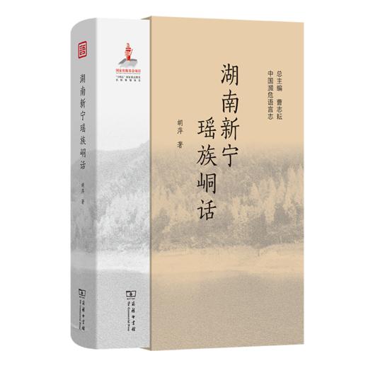 湖南新宁瑶族峒话(中国濒危语言志第二辑) 商品图0