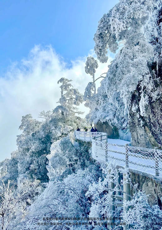【粤北年货节 湘粤云冰山】 云冰山赏冰挂云海、阳山七拱淮山丰收节 汽车纯玩3日游 商品图1