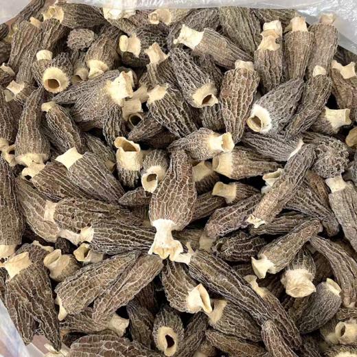 羊肚菌  250克菌菇干货  山珍煲汤食材 美味营养 商品图3