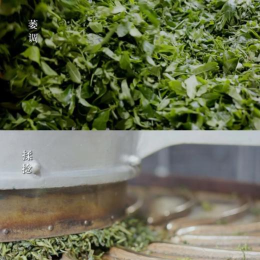 云南·景迈山 | 布朗族制茶体验，专属自己的景迈山古树茶饼 商品图4