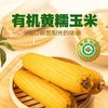 燕之坊 有机黄糯玉米礼盒1.9kg 商品缩略图4