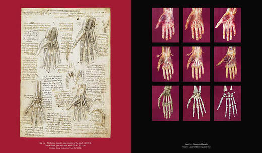 Leonardo Da Vinci and Anatomy: The Mechanics of Life / 莱昂纳多·达·芬奇与解剖学：生命的力学奥秘 商品图4