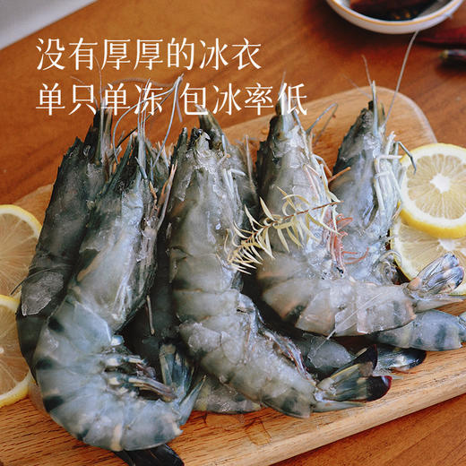 【冰冻黑虎虾王 镇桌硬菜】非盐冻 有冰衣 个头大 肉质紧实鲜甜 活虾锁鲜 白灼、盐烤、红烧都好吃～ 商品图5