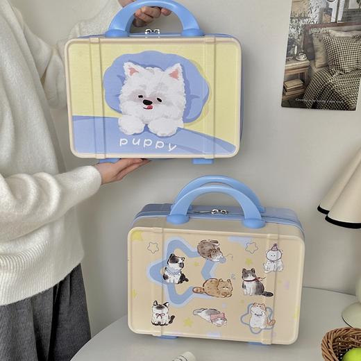 【敲高颜值】卡通手提行李箱化妆包女收纳旅行箱14寸迷你可套拉杆公司礼品箱。ry 商品图0