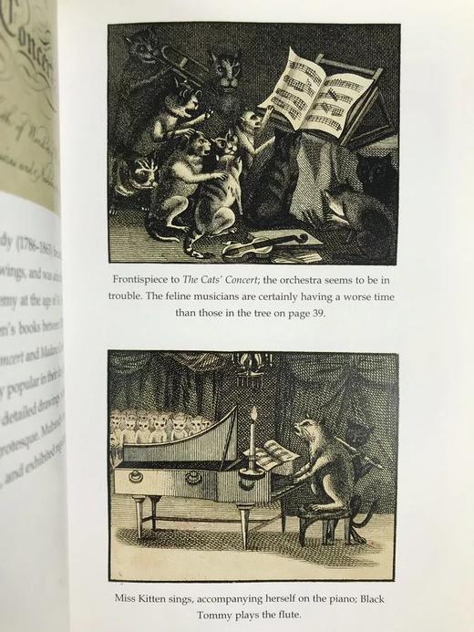 金屋藏猫记：书籍插图中的猫 100幅可爱猫咪插图 精装大32开 商品图9