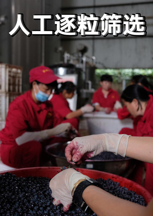 云南红酒庄布袋云中舞干红13.8度750ml弥勒酒庄 商品图3