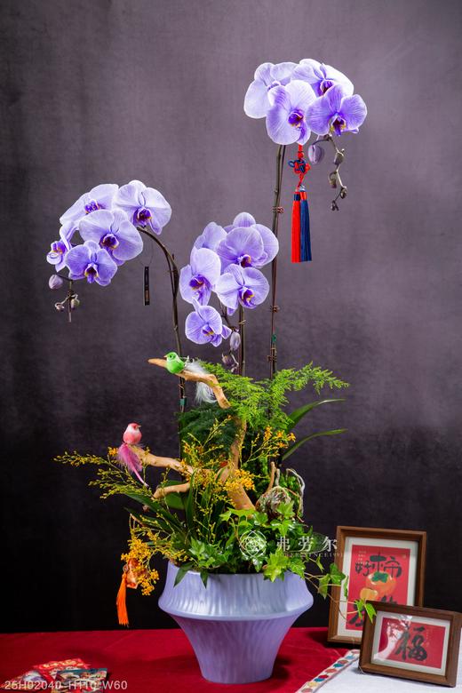 蛇年安康 商品图0