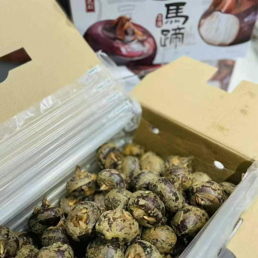 【马蹄】
“地下雪梨”，水润清甜，鲜嫩少渣，滋润心田，可做炖汤、甜点、炒菜，老少皆宜，美味不单调 商品图3