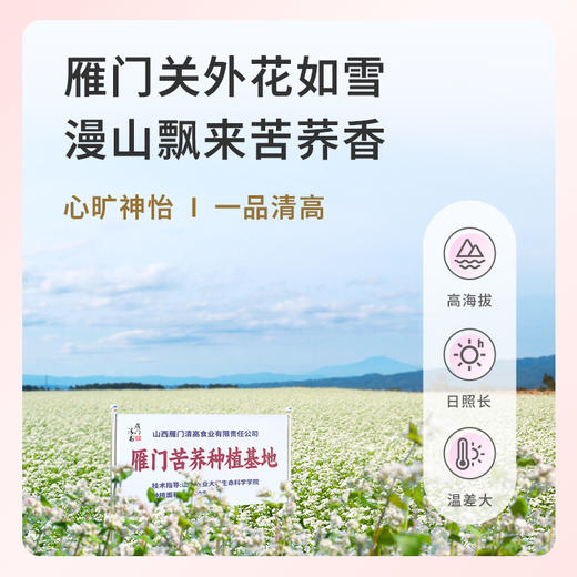 雁门清高0脂248g/袋装黑全麦苦荞面条纯荞麦面粗粮速食面挂面代餐 商品图3