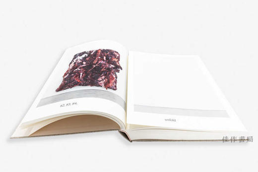 Anish Kapoor: Painting / 安尼施·卡普尔：绘画 商品图2