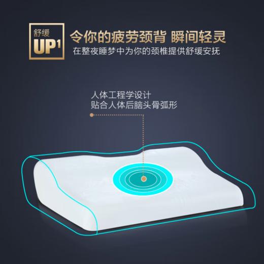 【B1】慕思磁石枕30cm*50cm 商品图1