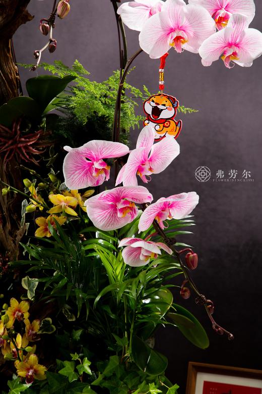 蛇年如意 商品图1