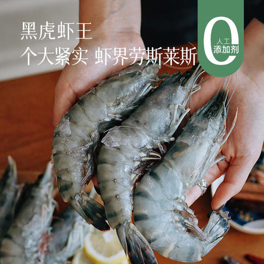 【冰冻黑虎虾王 镇桌硬菜】非盐冻 有冰衣 个头大 肉质紧实鲜甜 活虾锁鲜 白灼、盐烤、红烧都好吃～ 商品图0