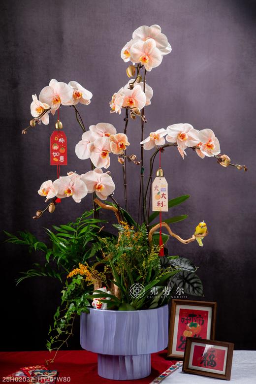 灵蛇送福 商品图0