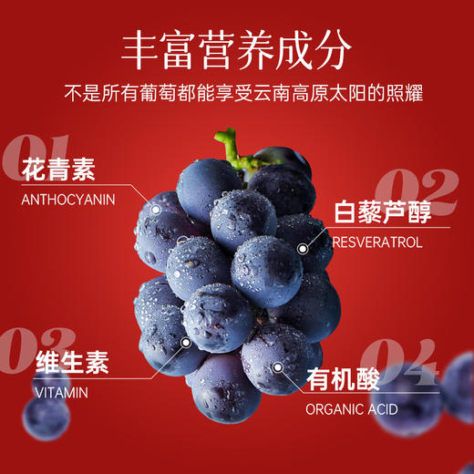 云南红飞鸟甜红葡萄酒15度375ml弥勒酒庄 商品图2