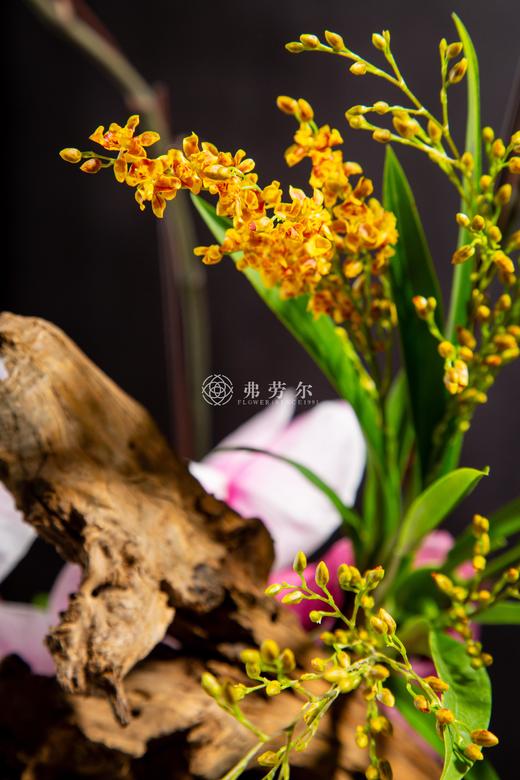 灵蛇献瑞 商品图4