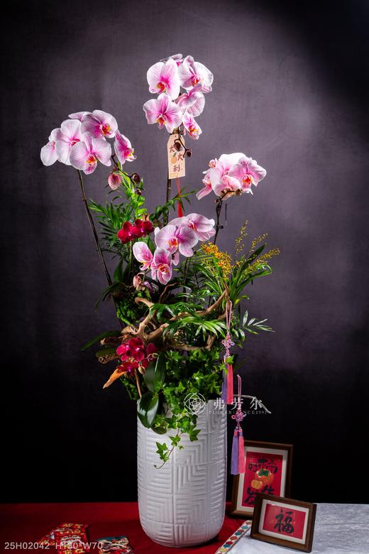 巳蛇呈祥 商品图0