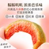 春节不打烊·食味的初相红心芭乐干果干蜜饯 糯糯叽叽 浓浓芭乐味 商品缩略图4