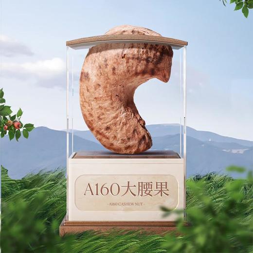 觅菓柬埔寨A160大紫衣腰果268g 商品图1