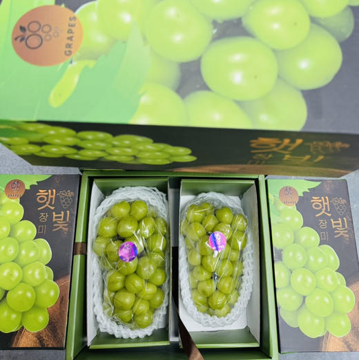晴印葡萄，浓郁香甜口感，颗粒硕大饱满⚠️精致礼盒包装 商品图13