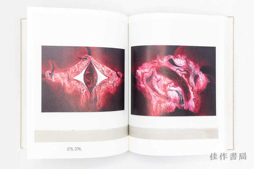 Anish Kapoor: Painting / 安尼施·卡普尔：绘画 商品图4