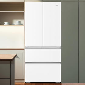 海尔（Haier）冰箱 BCD-483WGHFDB9W1U1