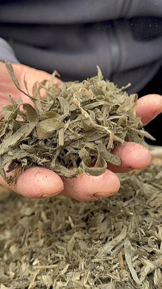 【买赠（预售）:买金丝楠阴沉木泡脚包（每件三十包）赠金丝楠手串一个】

送金丝楠手串一串 商品图0