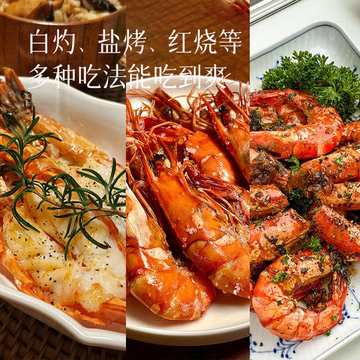 【冰冻黑虎虾王 镇桌硬菜】非盐冻 有冰衣 个头大 肉质紧实鲜甜 活虾锁鲜 白灼、盐烤、红烧都好吃～ 商品图3