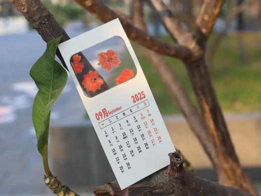 创意押花日历 商品图11