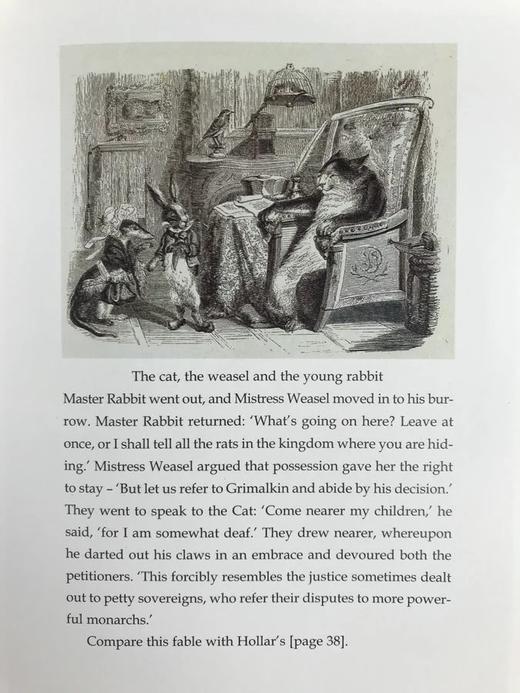 金屋藏猫记：书籍插图中的猫 100幅可爱猫咪插图 精装大32开 商品图7