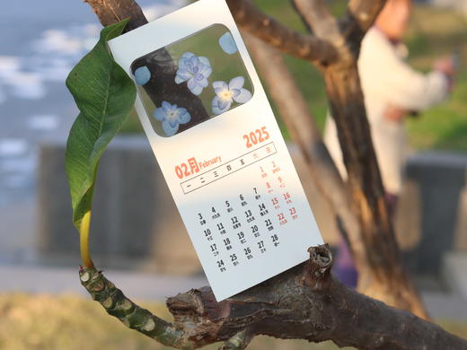 创意押花日历 商品图4