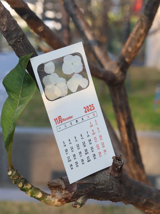 创意押花日历 商品图13