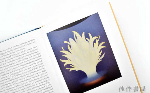 Agnes Pelton (Great Masters in Art) / 艾格尼丝·佩尔顿（艺术大师系列） 商品图2