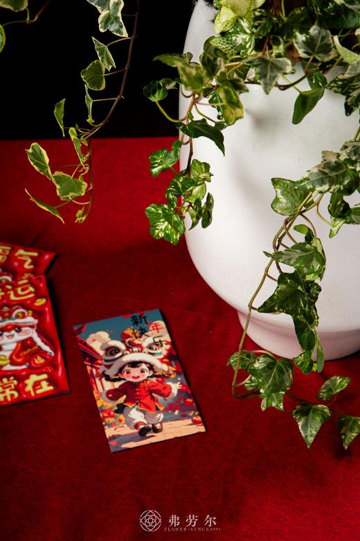 蛇衔宝珠 商品图3