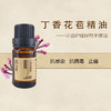 丁香花苞精油 5ml 商品缩略图1