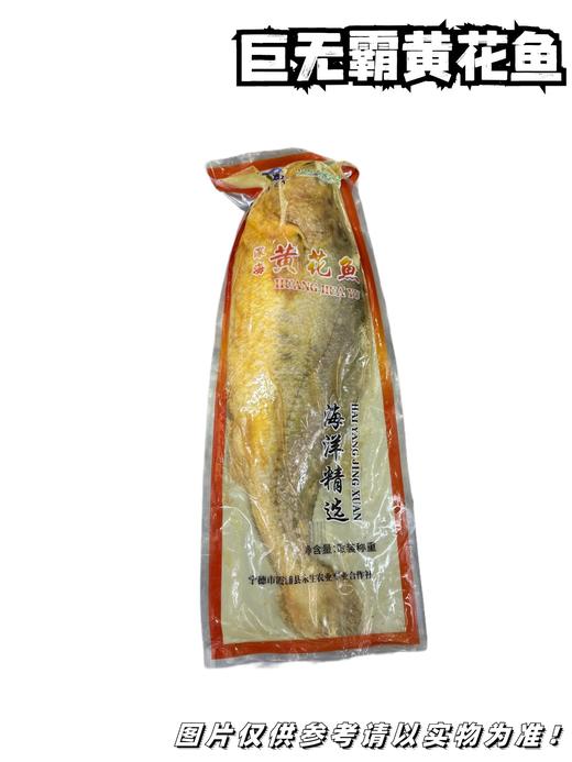 【冻品】巨无霸黄花鱼  单条2.5斤起步  【整条带鱼鳍塑封冷冻，串气儿正常情况，介意勿选哦】 商品图0