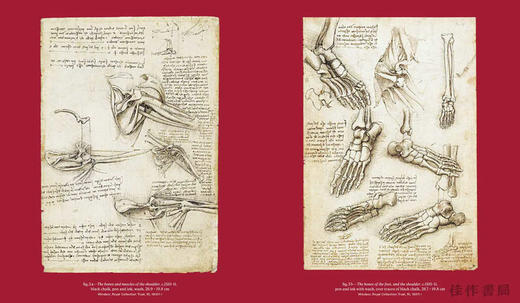 Leonardo Da Vinci and Anatomy: The Mechanics of Life / 莱昂纳多·达·芬奇与解剖学：生命的力学奥秘 商品图2