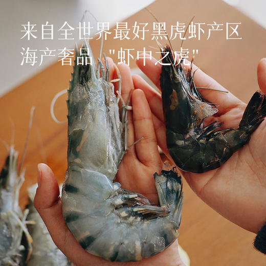 【冰冻黑虎虾王 镇桌硬菜】非盐冻 有冰衣 个头大 肉质紧实鲜甜 活虾锁鲜 白灼、盐烤、红烧都好吃～ 商品图2