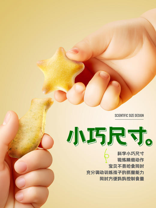 星星小鱼饼干系列 商品图6