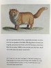 金屋藏猫记：书籍插图中的猫 100幅可爱猫咪插图 精装大32开 商品缩略图8
