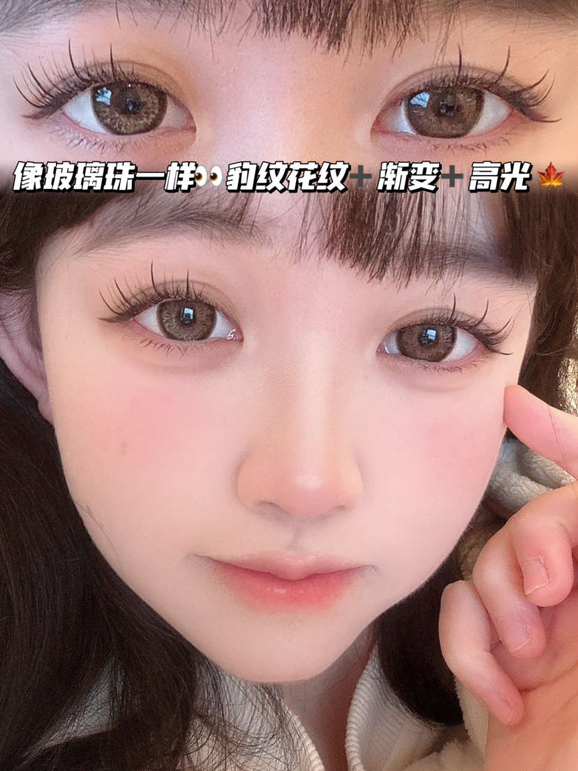 BDJ BROWN 豹纹娃娃棕「含硅水凝胶」半年抛型 250/700/750/800/850/900/950/1000度缺，其他度数全！