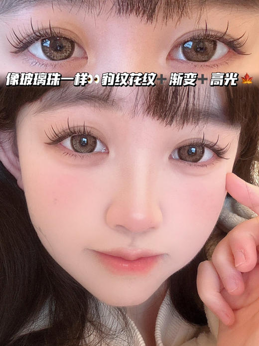 BDJ BROWN 豹纹娃娃棕「含硅水凝胶」半年抛型 250/700/750/800/850/900/950/1000度缺，其他度数全！ 商品图0