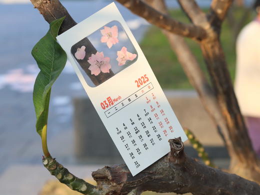 创意押花日历 商品图5