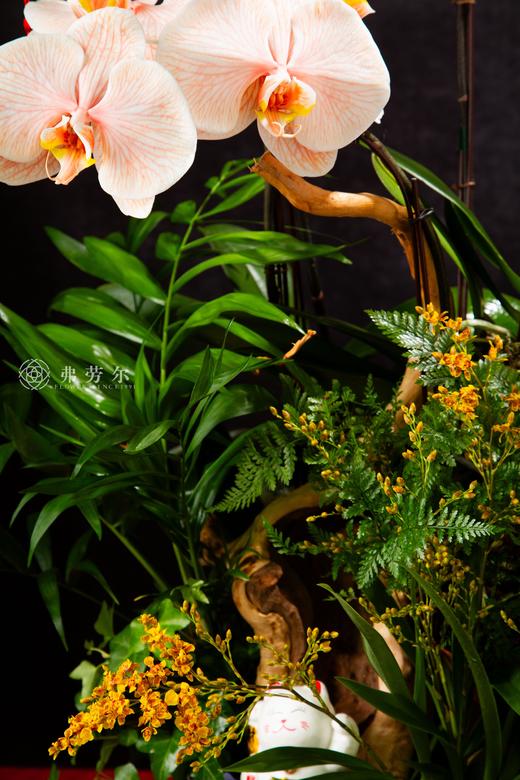 灵蛇送福 商品图2