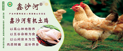 有机土鸡土鸡蛋 鑫沙河农场高山林地散养 肉质鲜嫩 商品图3