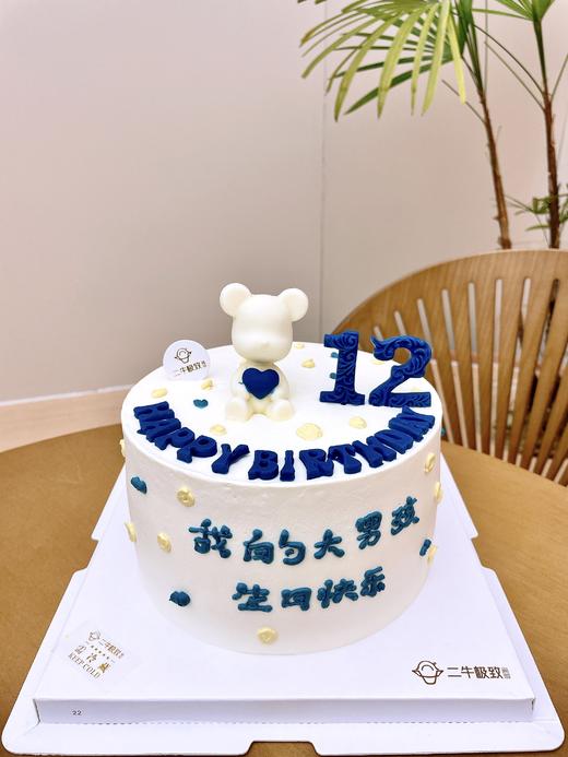 我的大男孩 商品图0