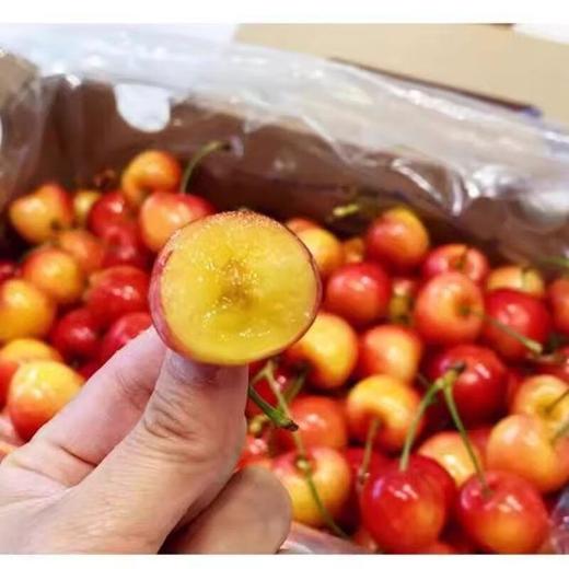 金车厘子2J（约500G） /份 商品图2