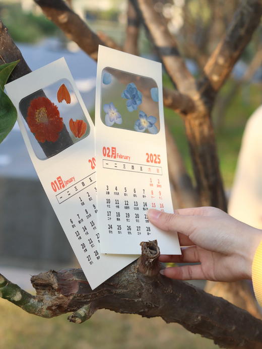 创意押花日历 商品图2